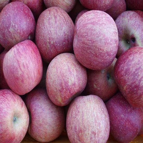 이미지 - 이미지