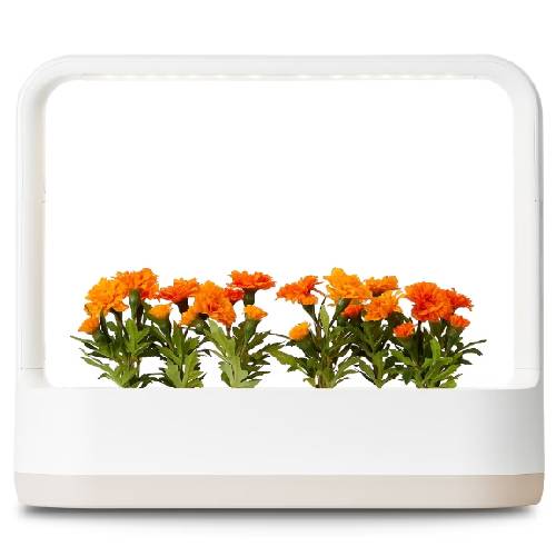 이미지 - 이미지