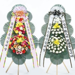 이미지 - 이미지