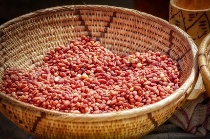 구매대행 - 이미지