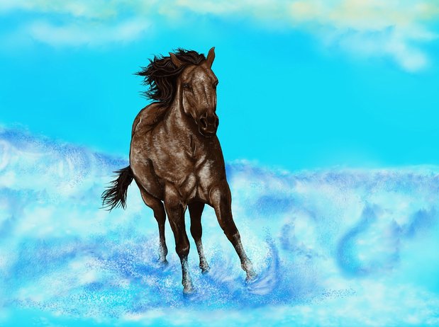 디지털 드로잉 - 이미지