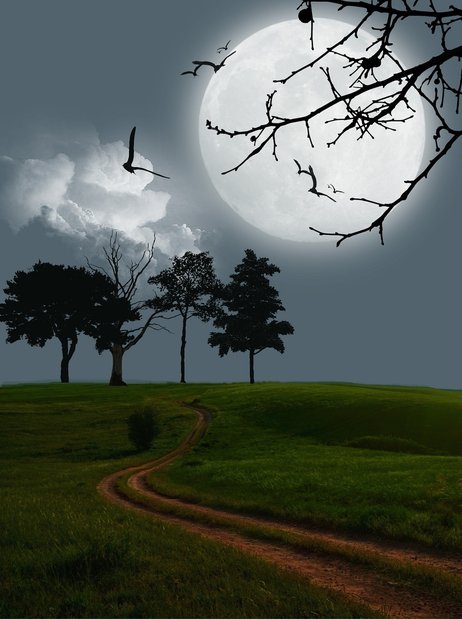 디지털 아트 판매 - 이미지