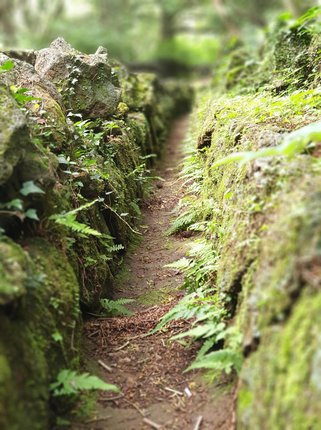 마음안정 - 이미지