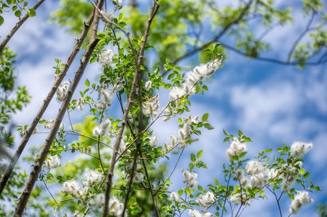 미루는 - 이미지