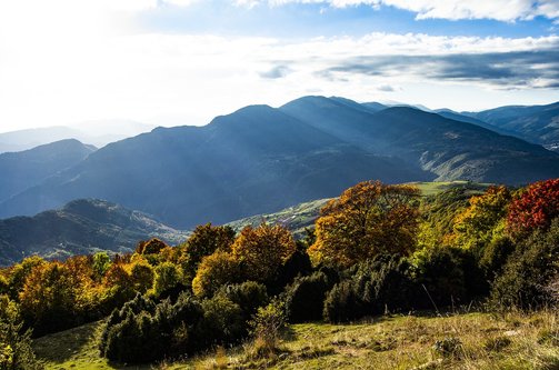 브루게스 - 이미지