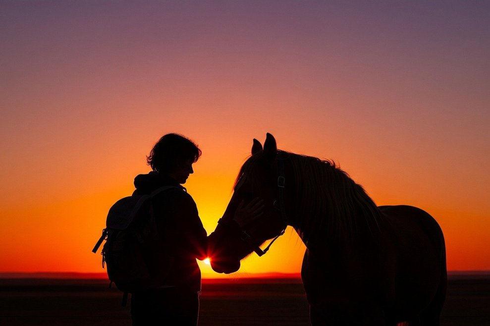 사회유대감 - 이미지