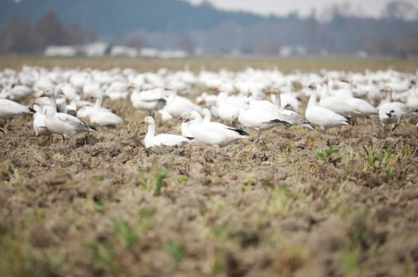 사회적 - 이미지