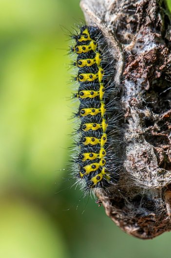 생애주기재테크 - 이미지