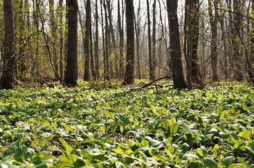 설문조사 알바 - 이미지