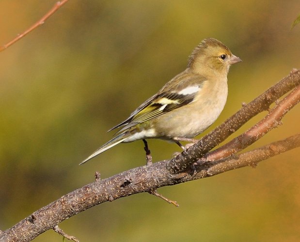 손익계산서 - 이미지