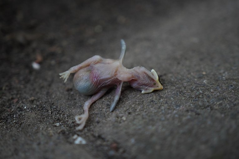 암기력 - 이미지