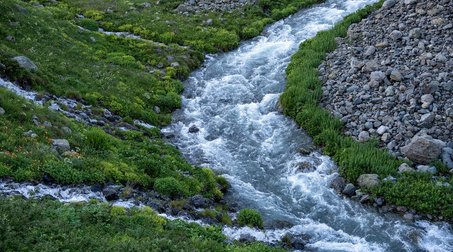 야외활동 - 이미지