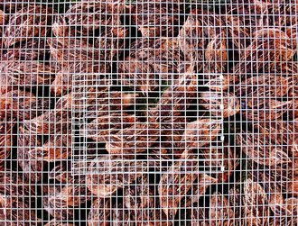 웹소설 집필 - 이미지