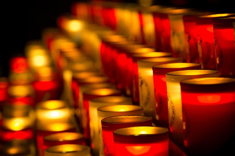 파리 노트르담 대성당 - 이미지