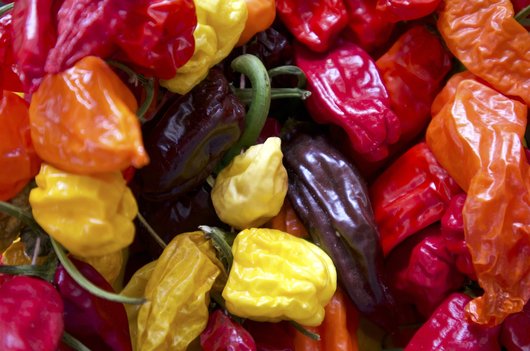 페로니에 - 이미지