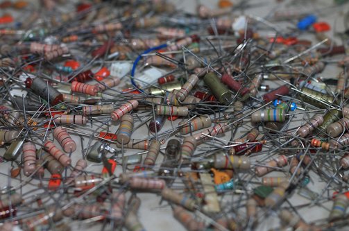 펫시터 - 이미지