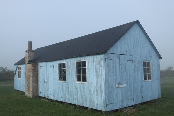 펫시터 - 이미지