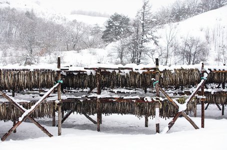 개운한 - 이미지