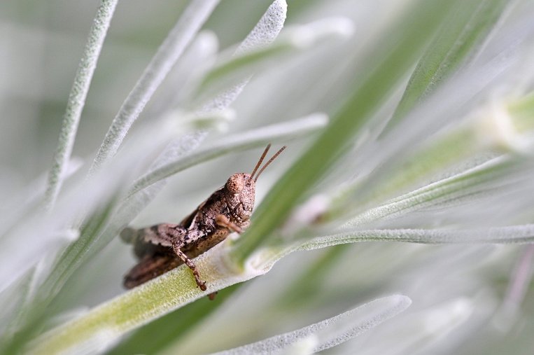 거시 경제 - 이미지