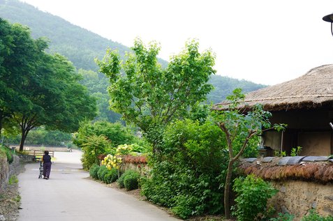 경주 불국사 - 이미지