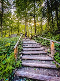 그린카 - 이미지