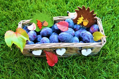 긍정 확언 - 이미지