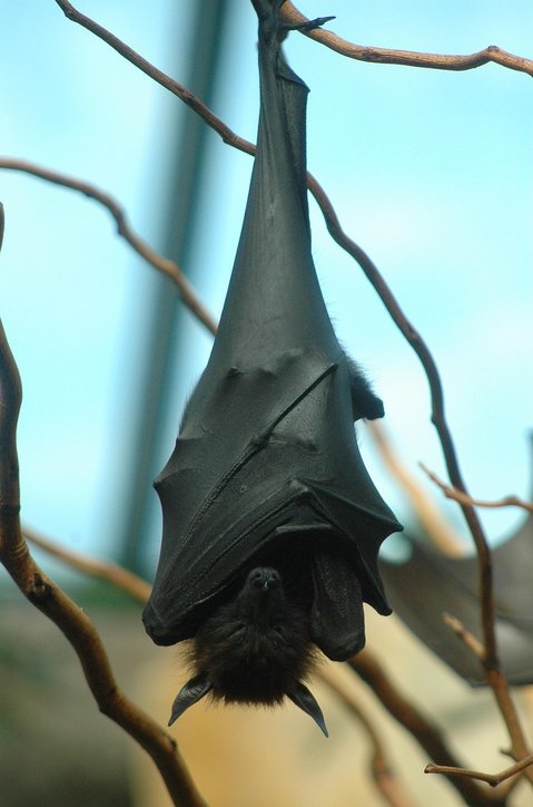 긴급도 매트릭스 - 이미지