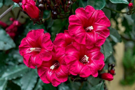 내집마련 - 이미지