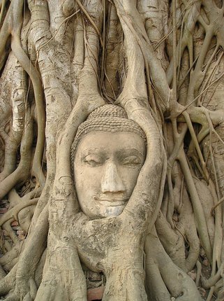 내향성 극복 - 이미지