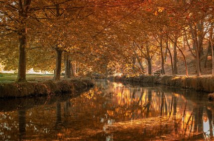 니스 프롬나드 데 장글레 - 이미지