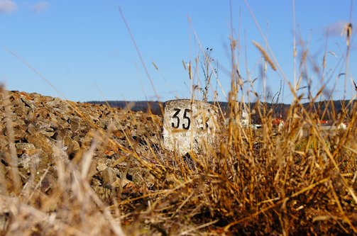 마일리지 - 이미지