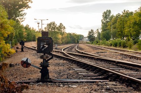 발행어음 - 이미지