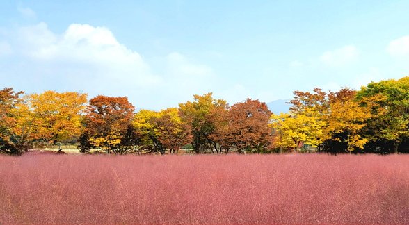 배움의 - 이미지