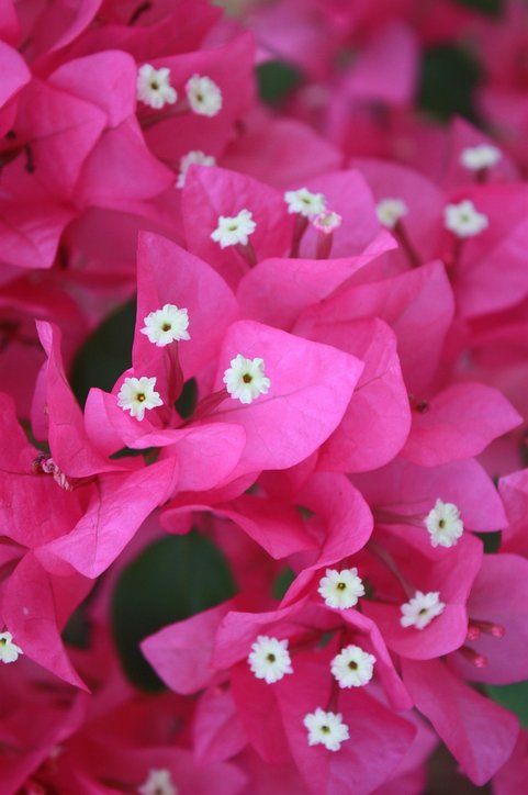 상속 증여세 - 이미지