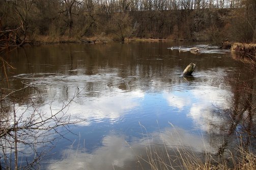 설문조사 - 이미지