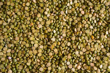 섬유질 - 이미지