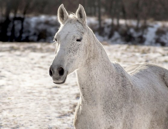 성격 유형 - 이미지