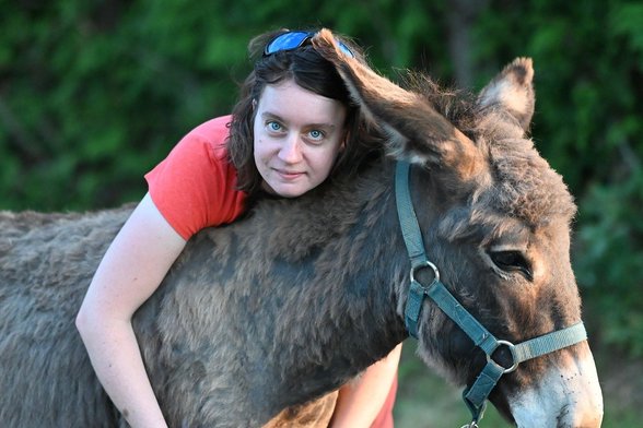 소속감 - 이미지