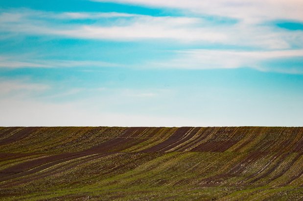 솔직한 - 이미지