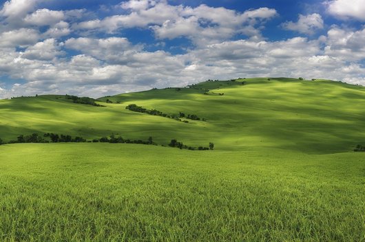 솔직한 - 이미지