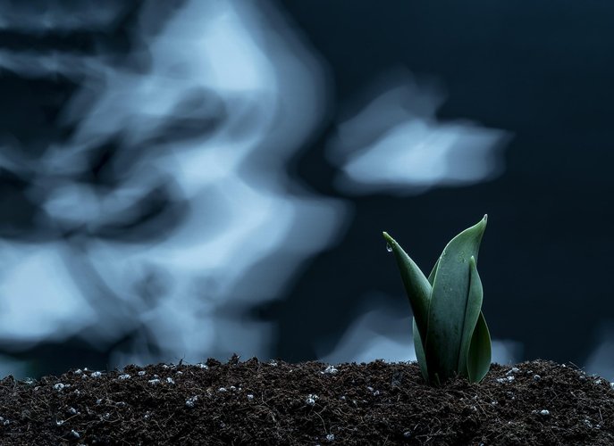 신흥국 - 이미지