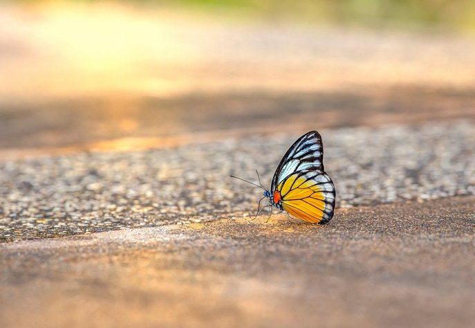 외주디자인 - 이미지