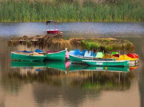 이카 와카치나 - 이미지