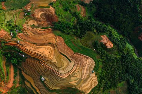 이푸가오 바나우에계단식논 - 이미지