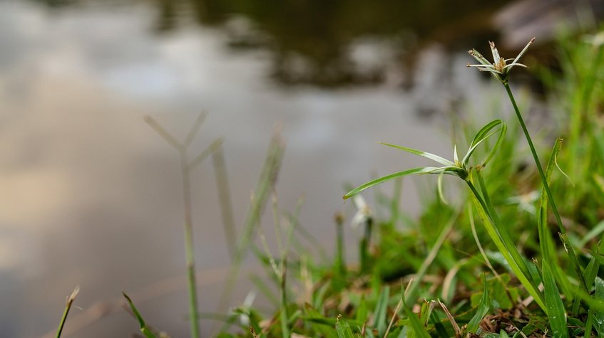 자기 PR - 이미지