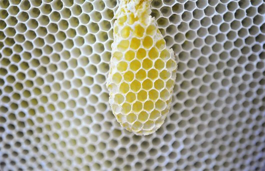 재테크 기초 - 이미지