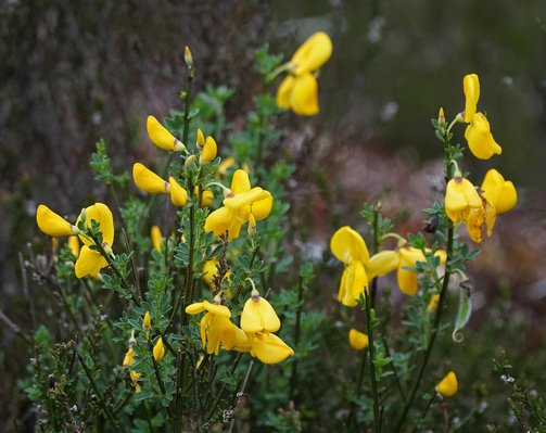저렴식단 - 이미지
