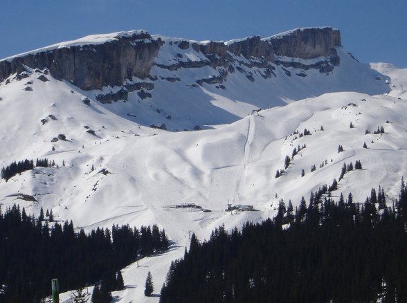 전월세 - 이미지