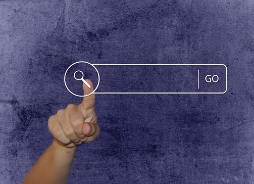 정보 검색 - 이미지