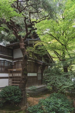 정신적 - 이미지